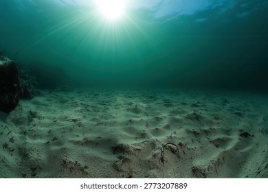 Sunlight pierces the ocean's surface, creating a mesmerizing display of light and shadow on the sandy seabed below. The underwater scene evokes tranquility and mystery.