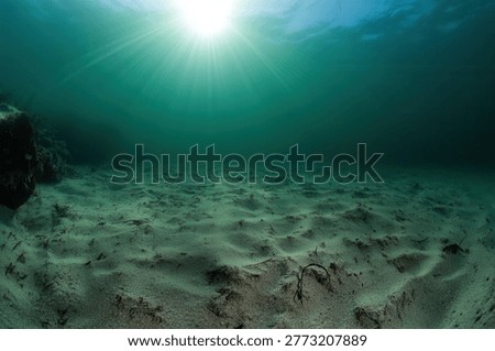 Sunlight pierces the ocean's surface, creating a mesmerizing display of light and shadow on the sandy seabed below. The underwater scene evokes tranquility and mystery.