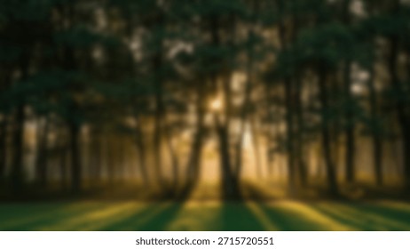 Sunlight piercing through forest trees at dawn mystical woodland scene.