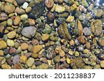 sunlight reflecting on the clear waters of a slow moving stream with colorful gravel and stones forming the bed