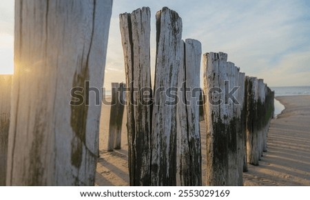 Sunlight Seen Through a Row of Beach Poles. As the sun sets it's light can be seen through a row of wooden poles leading up to the North Sea in Domburg, the Netherlands.