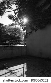 Sunlight and shadow