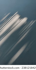 Sunlight and the shadow on the wall