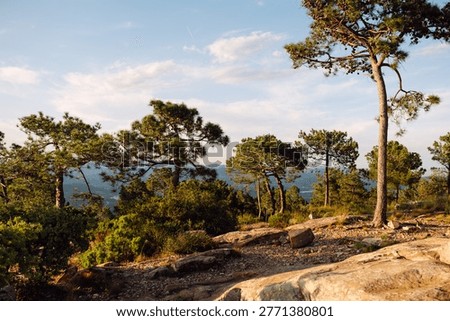Sunlight shines through the trees in a hilly area. Large rocks are in the foreground. The scene shows the end of the day with clear skies. Nature is visible all around.