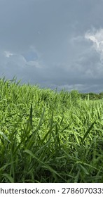 Sunlight shining through clouds over green hills after rain.