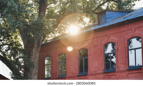 Sunlight shining through tree branches over red brick building