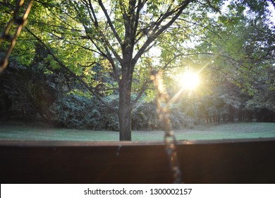 Sunlight shining through trees