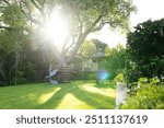 Sunlight shining through trees in backyard with treehouse and slide. Nature, sunshine, playground, leisure, outdoors, tranquility