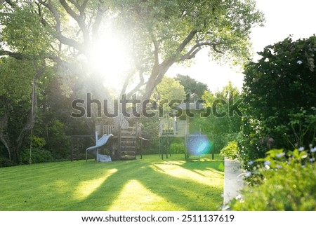 Sunlight shining through trees in backyard with treehouse and slide. Nature, sunshine, playground, leisure, outdoors, tranquility