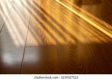 Sunlight Shining Through The Window And Illuminating The Floor Of The Room