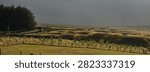 Sunlight and storm clouds highlight the grassed over spoil heaps on the North Yorkshire moors at 900ft