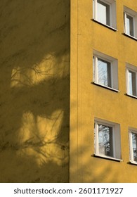 Sunlight streaming through tree branches creates intricate shadows on warm yellow facade of residential building. Warm sunlight filtering through leafy branches casting delicate shadows on yellow wall