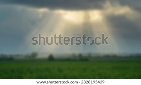 Sunlight streams through dark, moody storm clouds, illuminating a vast green field with trees in the distance.