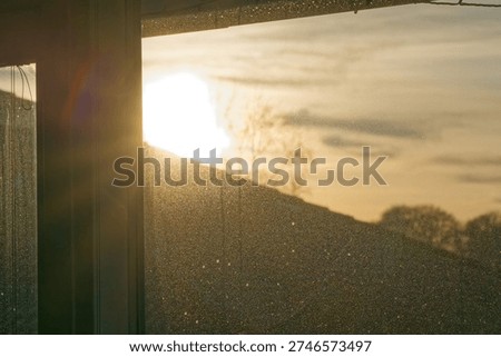 Sunlight streams through a dusty window pane illuminating particles in the air with a blurred view of trees and sky outside during golden hour.