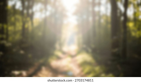 Sunlight streams through a forest trail with inviting adventure and exploration, and blurred nature.