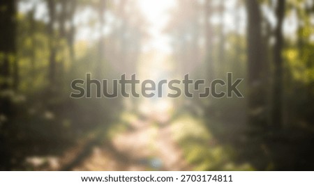 Sunlight streams through a forest trail with inviting adventure and exploration, and blurred nature.