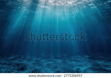 Sunlight streams through the ocean's surface, illuminating the underwater world. The light creates a beautiful and peaceful scene, highlighting the seabed below.