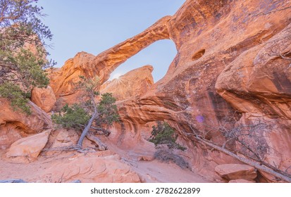 Sunlight streams through the opening of a massive natural sandstone arch, illuminating the textured red rock formations and surrounding desert vegetation in a vivid canyon landscape.