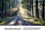 Sunlight streams through the trees, casting a warm glow on a quiet dirt road in nature