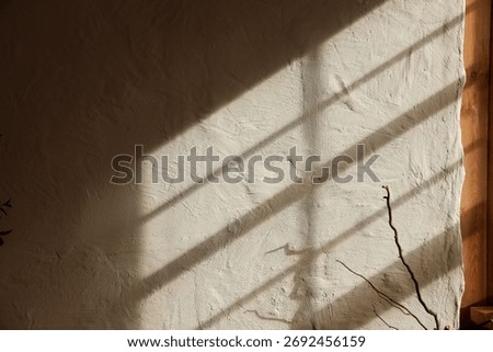 Sunlight streams through a window casting long shadows on a textured white wall. A delicate plant branch rests on the floor adding an organic touch to the serene scene in a calm indoor setting.