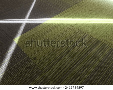 Sunlight streams through the window, filling the room with warmth and light