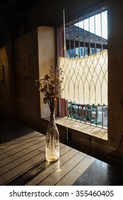 sunlight that passes through window and flowers in vase
