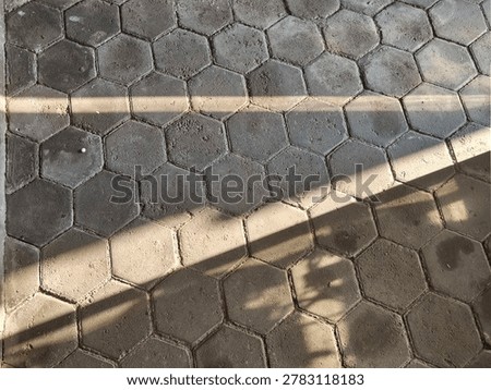 sunlight that penetrates objects and forms shadows