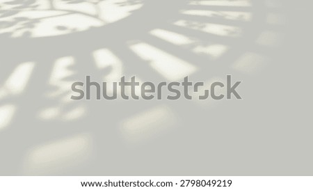 : Sunlight through arched windows with gobo light, neutral shadows, and leaves. Perfect for a studio product background
