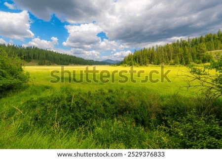 Sunlight through clouds highlight the marshy valley and Cougar Creek area near the Cougar Bay Nature Preserve in Coeur d'Alene, Idaho USA.