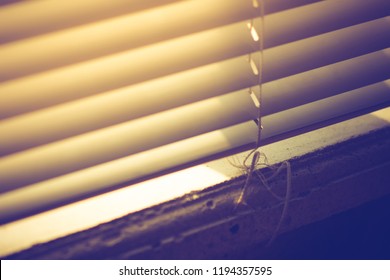 Sunlight through horizontal closed blinds.