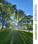 Sunlight Through the Tree Leaves On University of Colorado Denver North Building