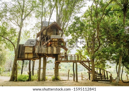 Sunlight through the tree upon the Tree house, Chiang Mai, Thailand