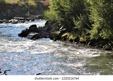 Sunlight touches the mossy bank on the other side of a fast moving stream in the Colorado Rocky Mountains.