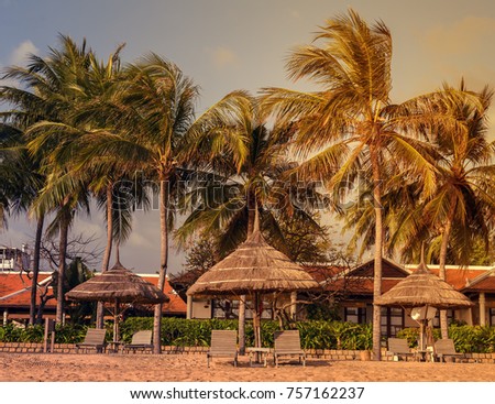 Similar – Image, Stock Photo Parasol, under palm trees