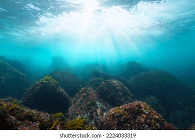 Sunlight Underwater With Rocks On The Ocean Floor, Atlantic Ocean, Spain, Galicia