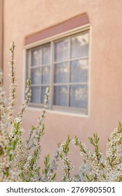 Sunlit adobe wall with window and desert plants in Santa Fe style architecture, featuring soft earthy tones, natural textures, and minimalist southwestern design