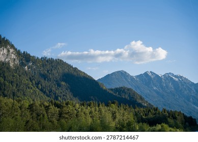 Sunlit alpine landscape featuring dense pine forests on rolling foothills, distant snow-capped mountain peaks and a clear blue sky with scattered clouds, evoking calm, nature and outdoor adventure.