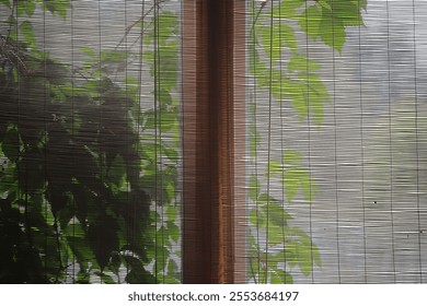 Sunlit Bamboo Blinds with Green Leaves Outside a Window for a Natural and Serene Ambiance - Powered by Shutterstock