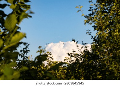 Sunlit cloud peeks through a natural frame of leafy branches under a clear sky. The warm evening mood suggests a quiet clearing and the soft promise of calm weather and rest.