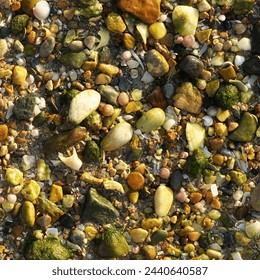 Sunlit Coastal Beach Pebbles And Shells Texture Top View