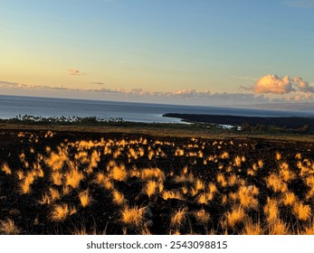 Sunlit Coastal Landscape with Grassy Terrain in Hawaii - Powered by Shutterstock