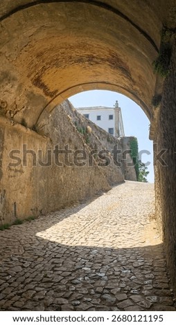 Sunlit cobblestone pathway under ancient arch whispers tales of Mediterranean siestas and Heritage Day wanderlust escapades