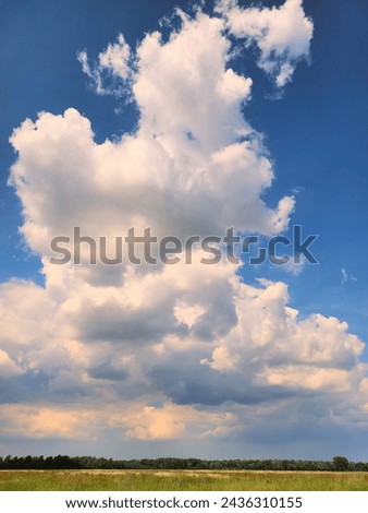Sunlit Cumulus Cloudscape over Lush Greenery, Killdeer Wetlands