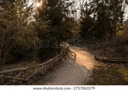 Sunlit Curving Park Path with Rustic Wooden Fence