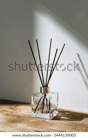 Sunlit Diffuser Bottle With Reeds Casting Shadows on a White Wall