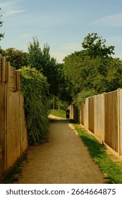 Sunlit dirt path bordered by wooden fences and green plants, leading towards a park in London, England. Tranquil urban walkway scene.
