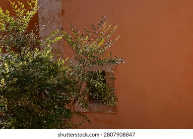 Sunlit foliage frames a simple monastery window at Agia Triada Monastery, where warm ochre walls and lush greenery create a harmonious blend of architecture and nature.