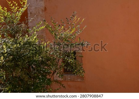 Sunlit foliage frames a simple monastery window at Agia Triada Monastery, where warm ochre walls and lush greenery create a harmonious blend of architecture and nature.