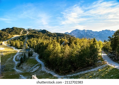 Sunlit forest with cable car and rocky mountains in the background. In the distance is the Vogel peak in the Julian Alps in summer in Slovenia.