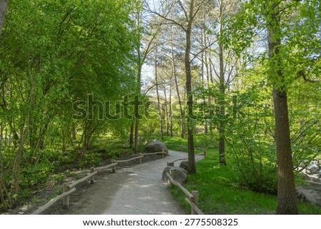 Sunlit forest path winds gently through lush green trees. Wooden railings guide walkway through vibrant foliage. Peaceful scene invites calm reflection or nature photography